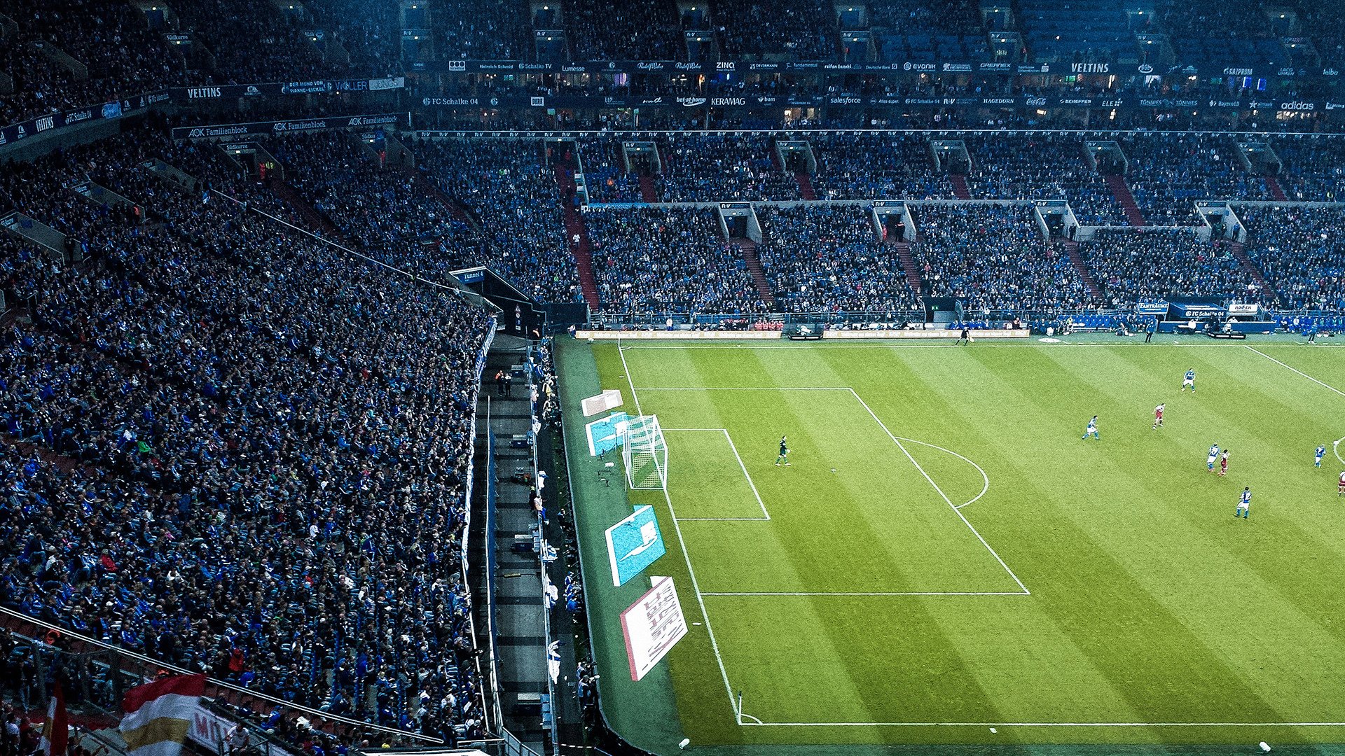 克罗地亚马术协会与学校合作,开展马术教育课程,推广马术文化。